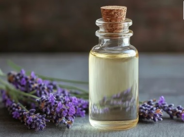 Lavender Oil