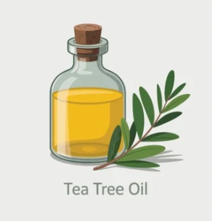 Tea Tree Oil